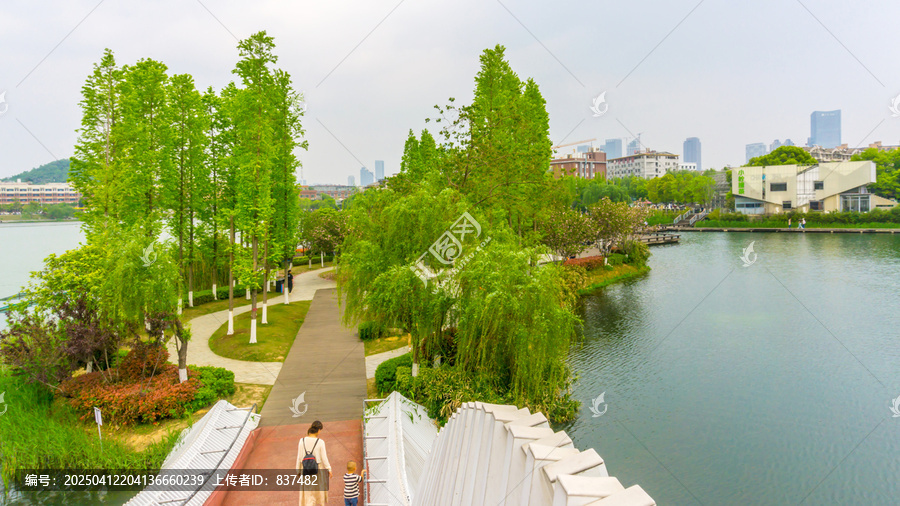 春回大地
