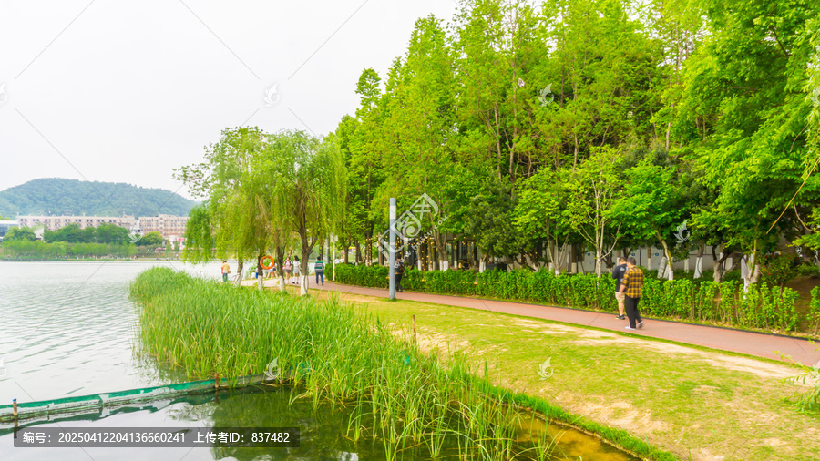 春回大地