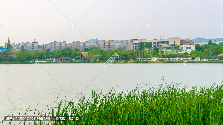 春回大地