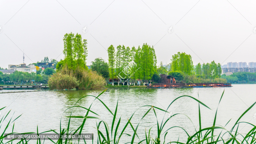 春回大地