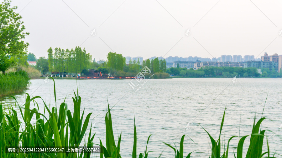 春回大地