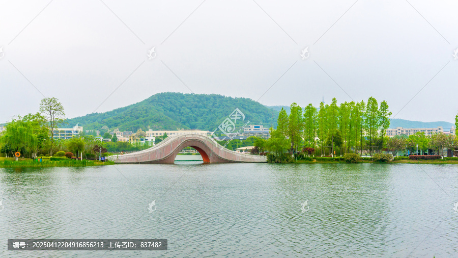 春色满园