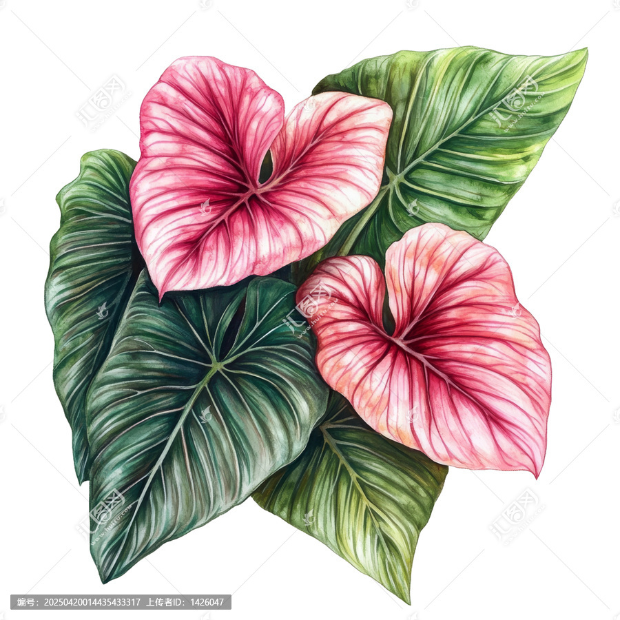 [免抠素材]水彩热带植物作品