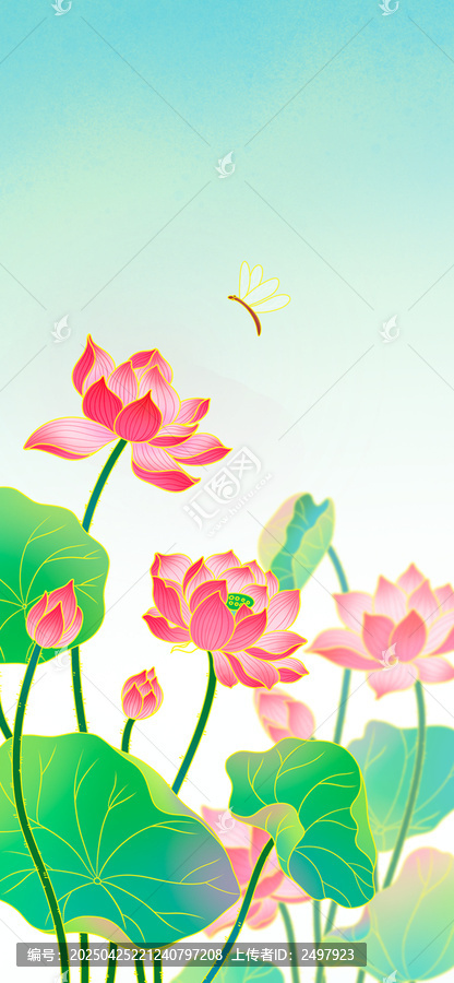 竖版荷花插画