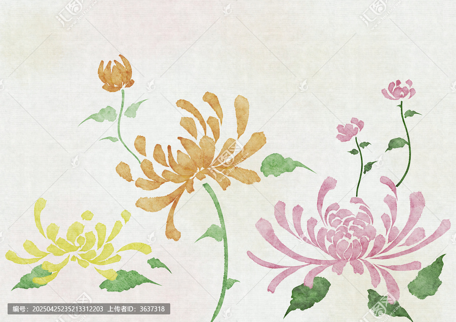 菊花壁纸