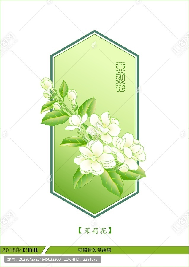 茉莉花包装素材
