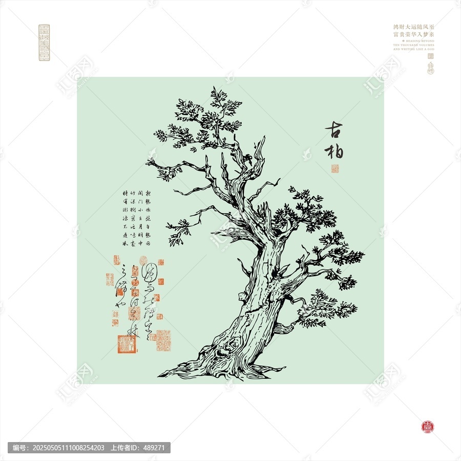 古柏古树古松矢量图