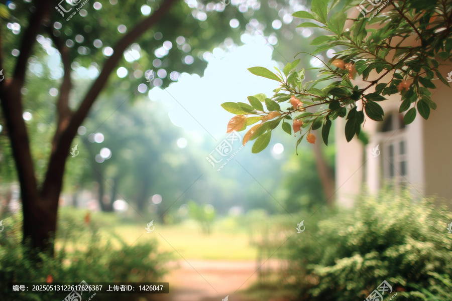 阳光洒满的公园美景
