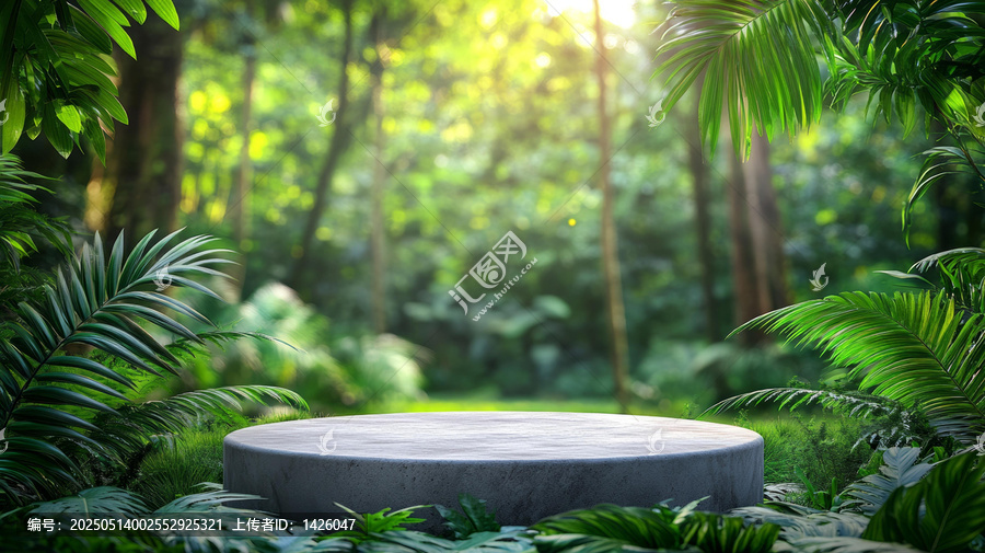 茂密丛林中空圆形混凝土展示台