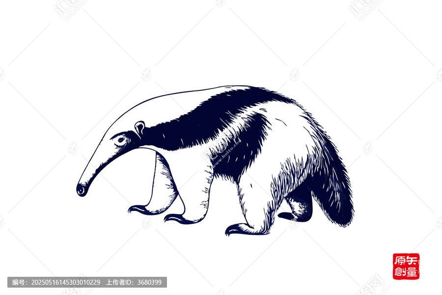 食蚁兽黑白手绘插画