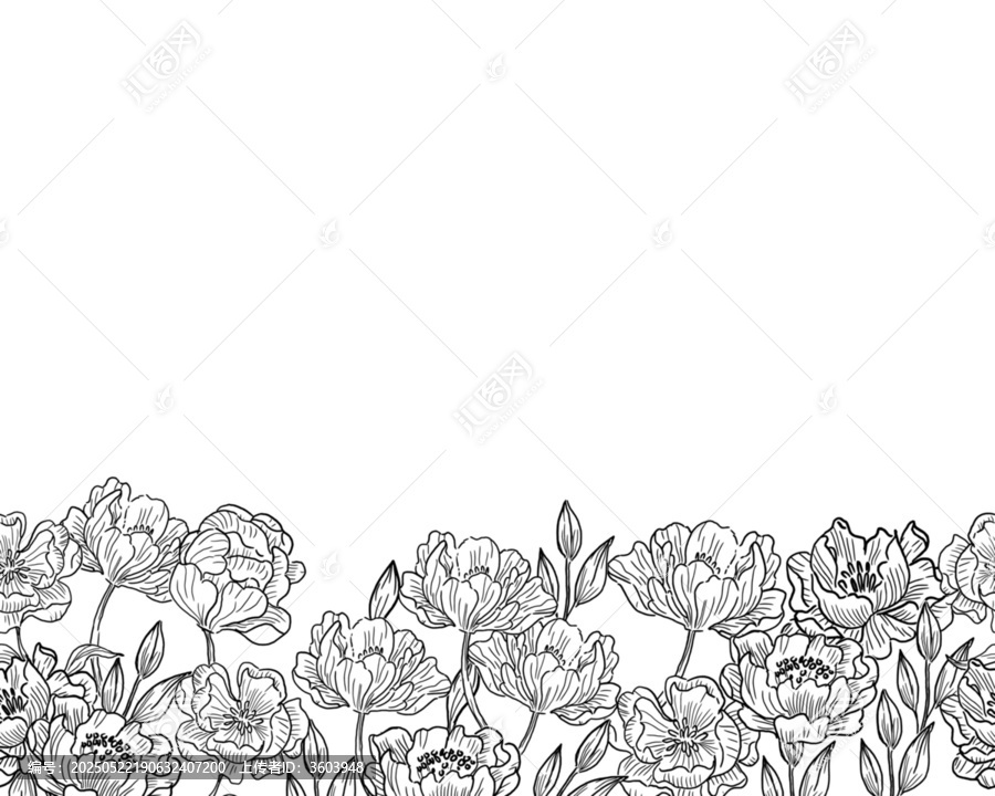 黑白花卉手绘边框矢量图案
