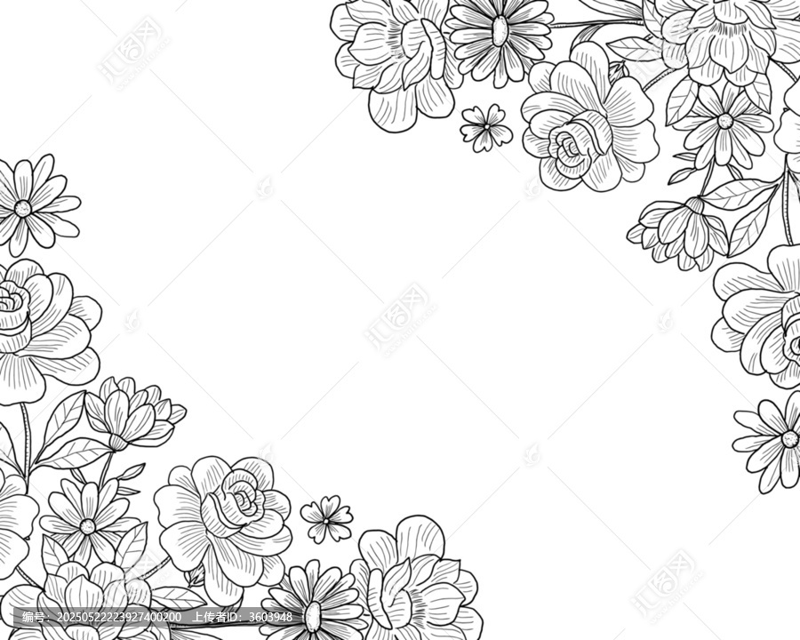 黑白花卉边角装饰矢量图案