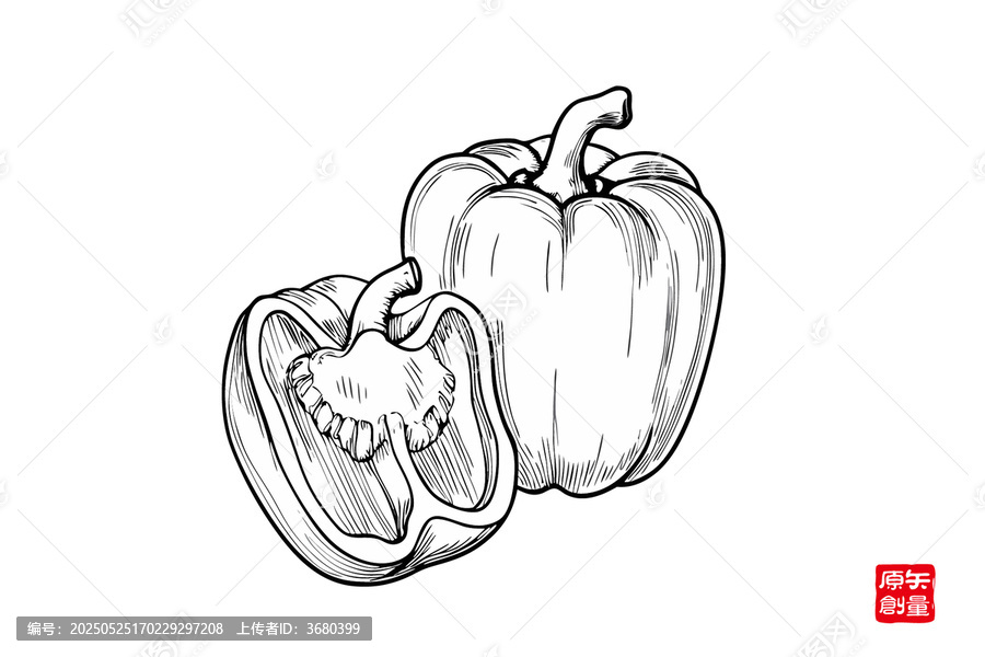手绘黑白甜椒插画