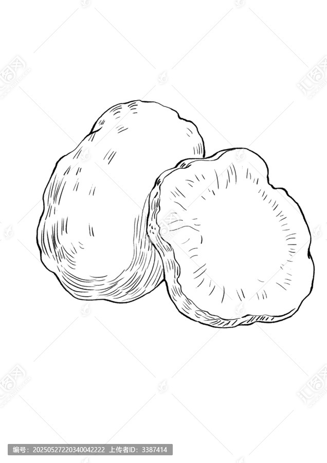 手绘切片块状物体插画