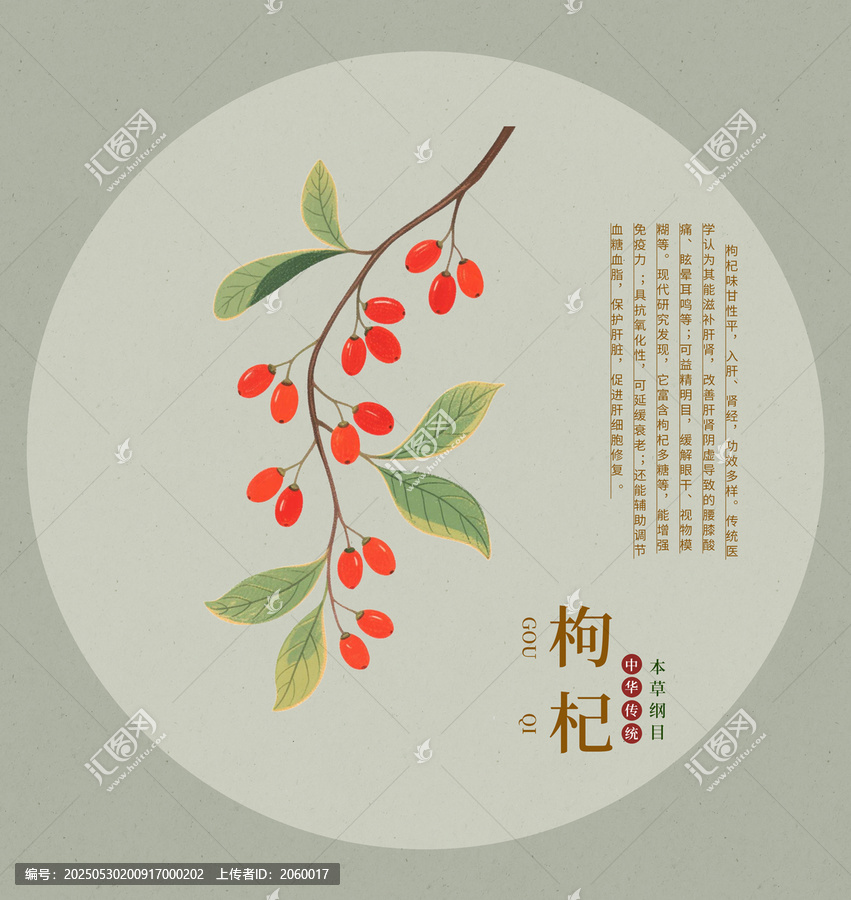 手绘枸杞插画中式风