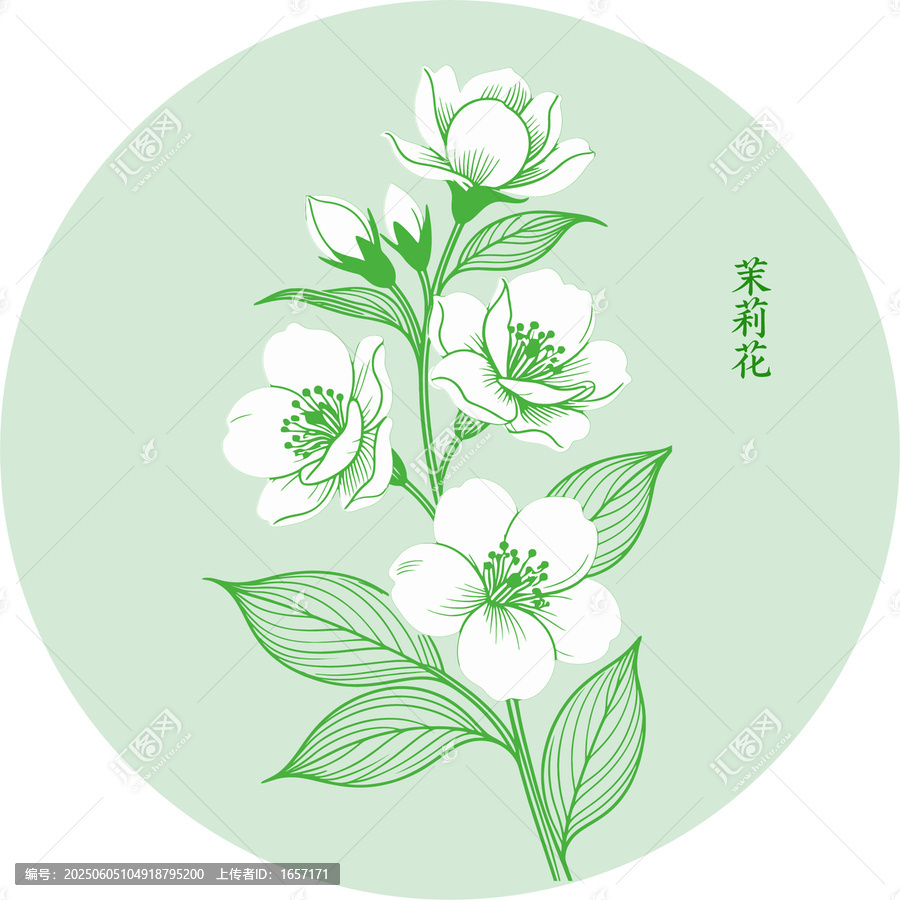 清新手绘风茉莉花图案矢量分层素材
