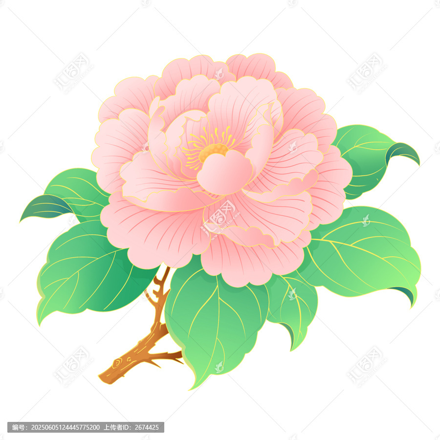 国潮插画风格粉色娇艳盛开的牡丹花