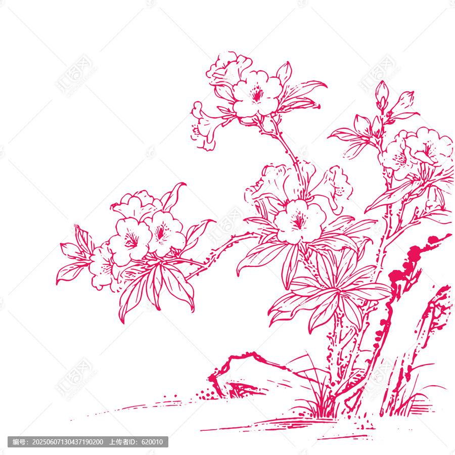 杜鹃花手绘图案花卉植物线稿矢量图纹理