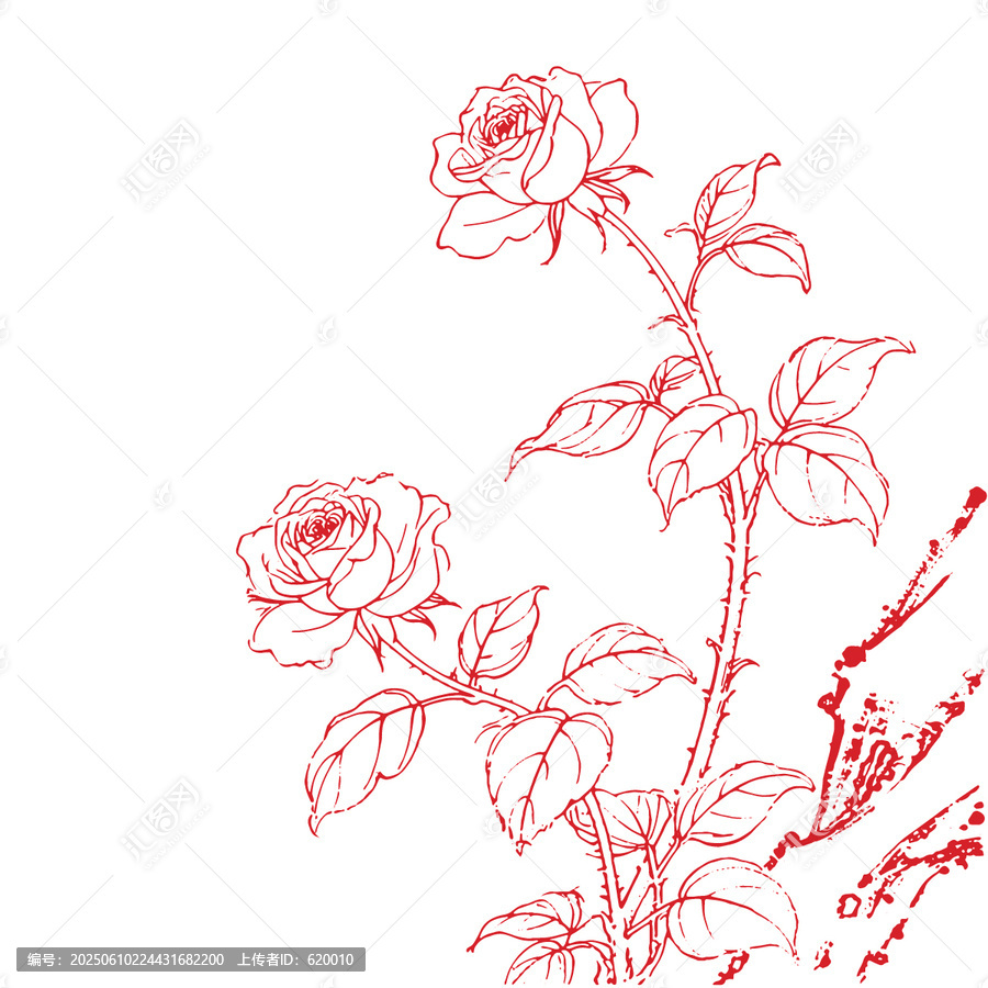 玫瑰花手绘线稿插画底纹包装设计矢量图