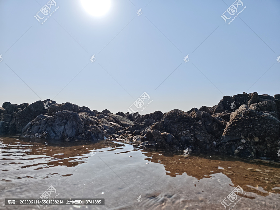 阳光下海边的嶙峋礁石