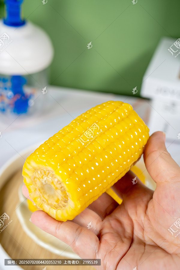 手持新鲜饱满的黄色玉米