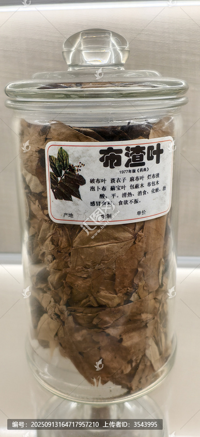 中药材布渣叶
